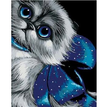 Maľovanie podľa čísel – Modrooké mačiatko s mašľou (HRAmal01023nad)