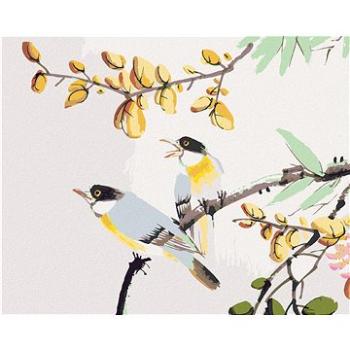 Maľovanie podľa čísel - Vtáci na strome Čína (HRAbz33553nad)