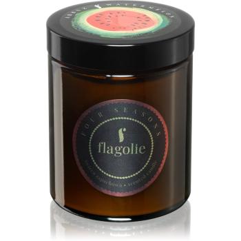 Flagolie Four Seasons Watermelon vonná sviečka 120 g