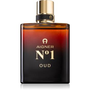 Etienne Aigner No. 1 Oud parfumovaná voda pre mužov 100 ml