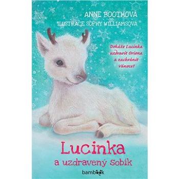 Lucinka a uzdravený sobík (978-80-271-3701-5)