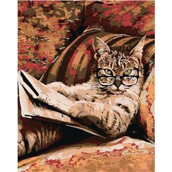 Maľovanie podľa čísel – Mačka s okuliarmi (HRAmal00107nad)