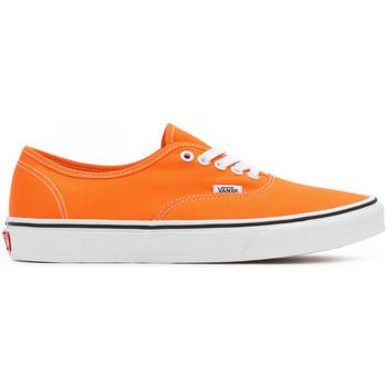 Vans  Skate obuv Authentic  Oranžová