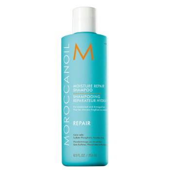 Moroccanoil Regeneračný šampón s obsahom arganového oleja na slabé a poškodené vlasy ( Moisture Repair Shampoo) 70 ml