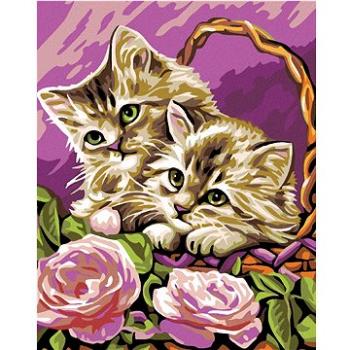 Maľovanie podľa čísel – Mačiatka v košíku a ružové ruže (HRAmal01000nad)