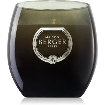 Maison Berger Paris Holly Amber Powder vonná sviečka 200 g