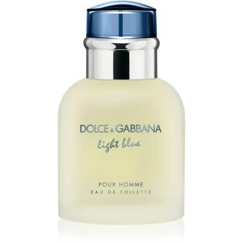 Dolce & Gabbana Light Blue Pour Homme toaletná voda pre mužov 40 ml