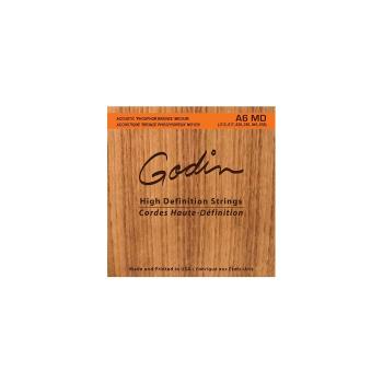 GODIN Strings Acoustic Guitar A6 MD