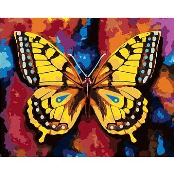 Maľovanie podľa čísel – Motýľ na farebnom pozadí (HRAbz33271nad)