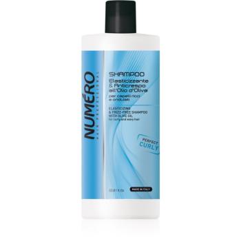 Brelil Numéro Elasticizing & Frizz-Free Shampoo hydratačný šampón pre vlnité a kučeravé vlasy 1000 ml