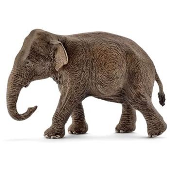 Schleich 14753 Ázijský slon samica (4005086147539)