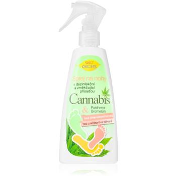 Bione Cosmetics Cannabis sprej na nohy 260 ml