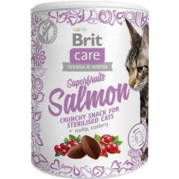 Brit Care Cat Snack Superfruits Salmon 100 g (8595602521449)