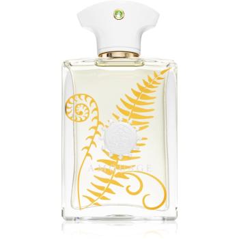 Amouage Bracken parfumovaná voda pre mužov 100 ml