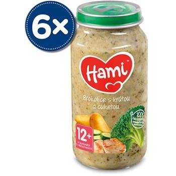 Hami Brokolica s morkou a cuketou 6× 250 g (5900852003035)