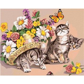 Maľovanie podľa čísel – Mačiatka s klobúkom a kvetinami (HRAmal00315nad)