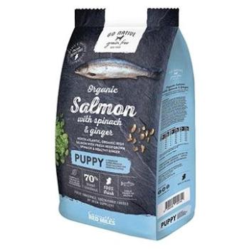 Go Native Puppy Salmon with Spinach and Ginger 800 g (5390119012021)