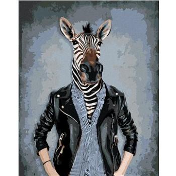 Maľovanie podľa čísel - Zebra v šatoch (HRAbz33505nad)