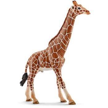 Schleich 14749 Samec žirafy (4005086147492)