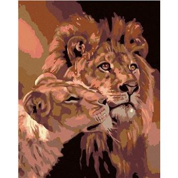 Maľovanie podľa čísel – Lev s levicou (HRAmal01007nad)