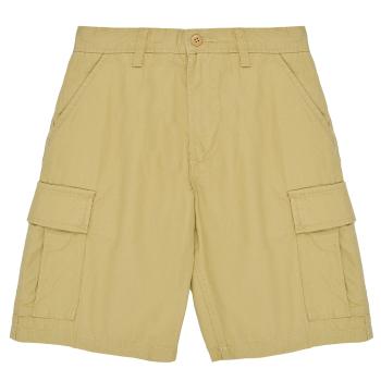 Vans  SERVICE CARGO SHORT  Šortky/Bermudy Béžová