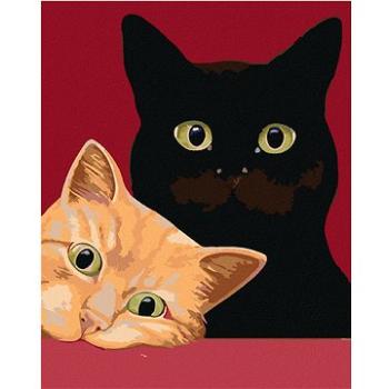 Maľovanie podľa čísel – Dve mačky a červené pozadie (HRAmal00537nad)