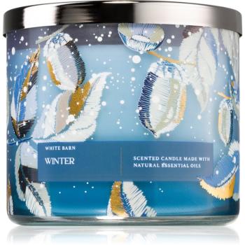 Bath & Body Works Winter vonná sviečka 411 g