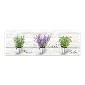 Obraz Styler Canvas Shabby Herbs, 27 × 75 cm