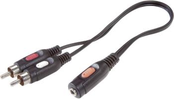 SpeaKa Professional SP-7870256 cinch / jack audio prepojovací kábel [2x cinch zástrčka - 1x jack zásuvka 3,5 mm] 1.50 m