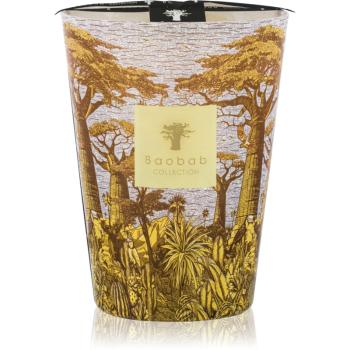Baobab Collection Sacred Trees Cocody vonná sviečka 24 cm
