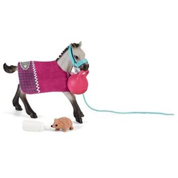 Schleich 42534 Zábava pre zvieratá (4059433572826)