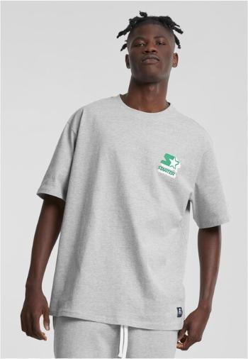 Starter Established 1971 Tee heathergrey - L