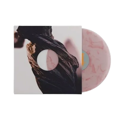 Pixies: The Night the Zombies Came LP