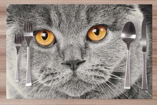 Prestieranie Mačací pohľad