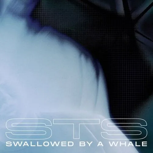 SWALLOWED BY A WHALE