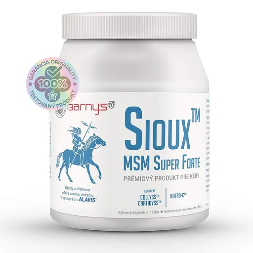 BARNY'S Sioux MSM Super Forte 600 g