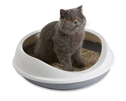 Toaleta Savic Figaro šedo-biela 55x48,5x15,5cm