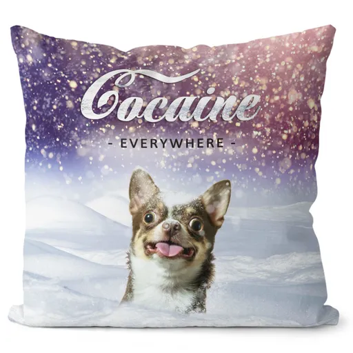 Vankúš Kokain – pes (Veľkosť: 40 x 40 cm)