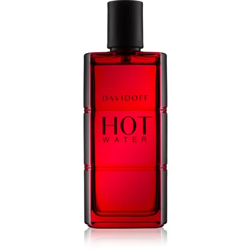 Davidoff Hot Water toaletná voda pre mužov 110 ml
