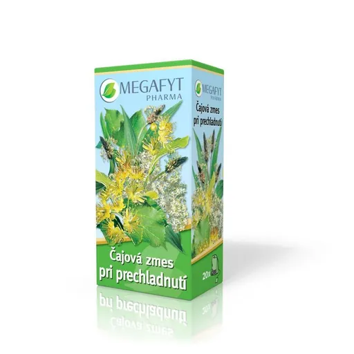 MEGAFYT Čajová zmes pri prechladnutí záparové vrecúška 20 x1,5 g