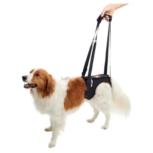 KRUUSE Rehab zdvíhací postroj na zadné nohy 1 ks, Veľkosť: XS