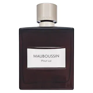 Mauboussin Pour Lui parfémovaná voda pre mužov 100 ml
