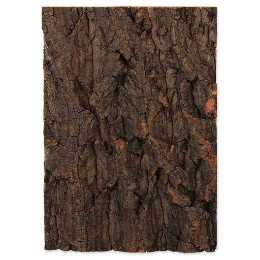 Repti Planet pozadie korok prírodní 19x27,3x2 cm