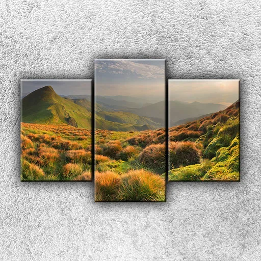 Foto na plátne Vysokohorská lúka 1 105x70 cm