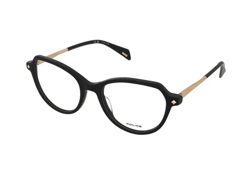 Police Stagedive 18 VPLM07 0700