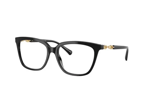 Emporio Armani EA3248 5017