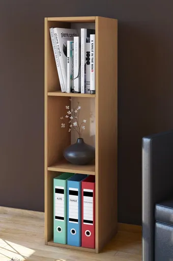 VCM Sběratelská police Mendas Maxi 3 přihrádky, buk