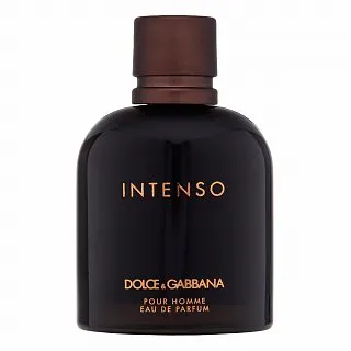 Dolce & Gabbana Pour Homme Intenso parfémovaná voda pre mužov 125 ml