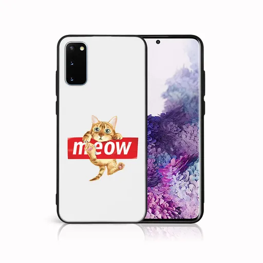 MY ART Ochranný kryt pre Samsung Galaxy S20 MEOW (183)