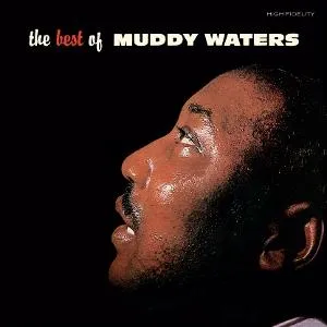 Waters Muddy - Best Of Muddy Waters / Coloured / Vinyl LP